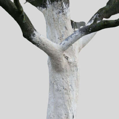 baumpflege bubblenavibanner